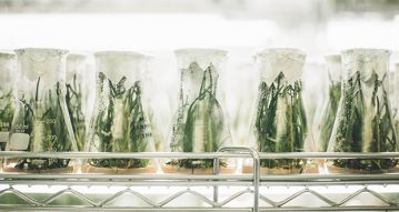 Un bio fablab chez échofab